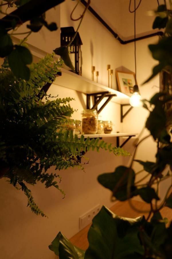 كراكوفيا Singer Apartment Old Town المظهر الخارجي الصورة