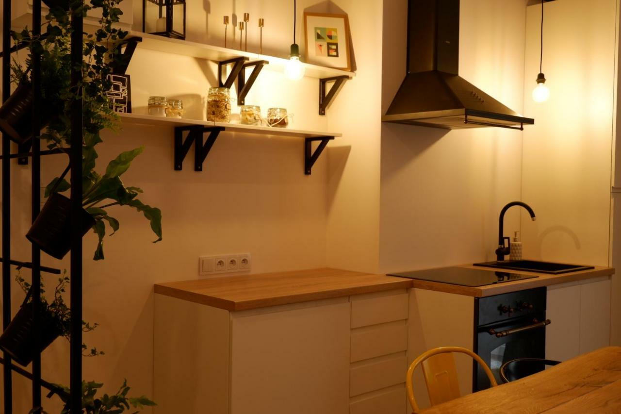 كراكوفيا Singer Apartment Old Town المظهر الخارجي الصورة