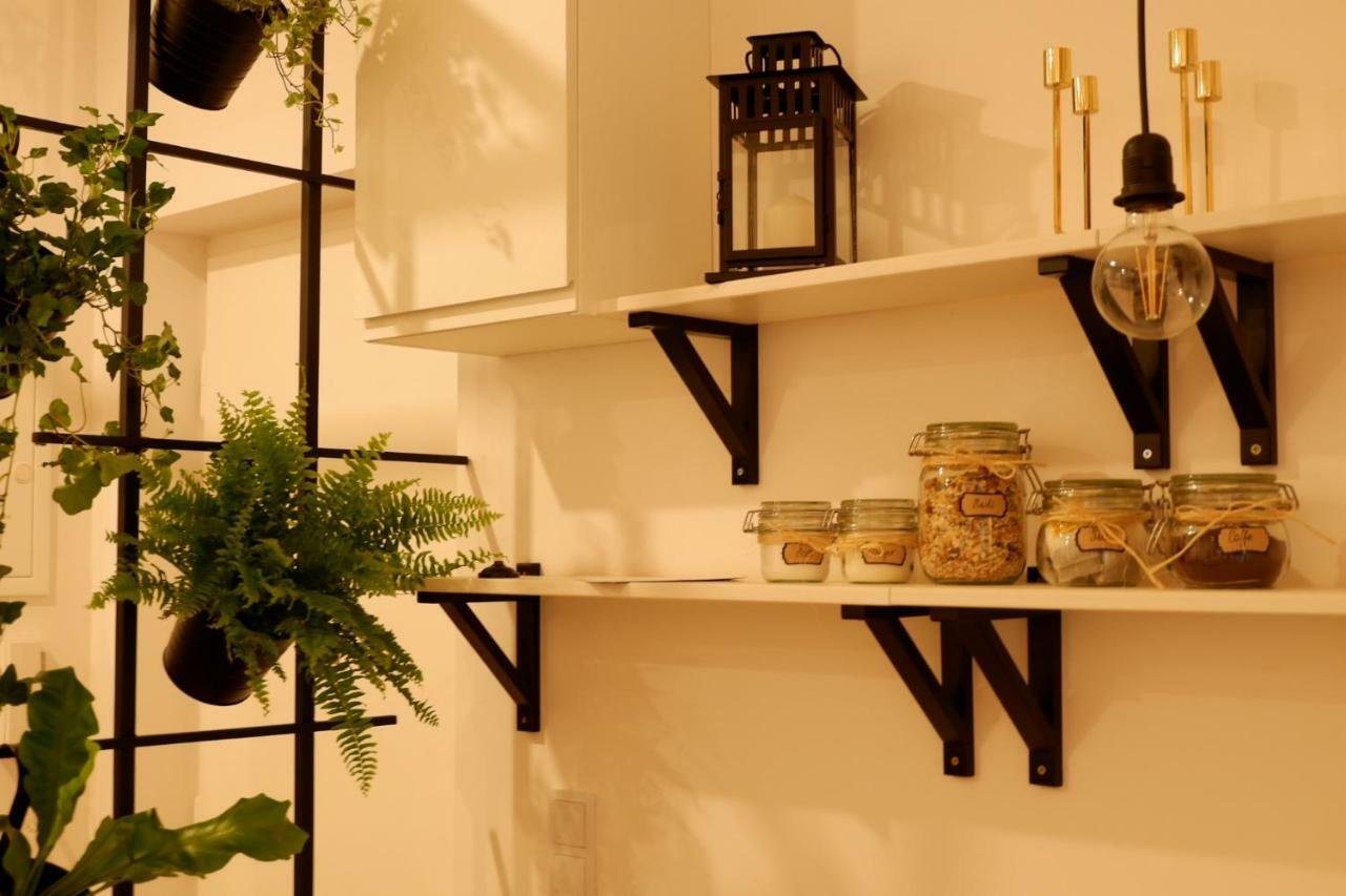 كراكوفيا Singer Apartment Old Town المظهر الخارجي الصورة